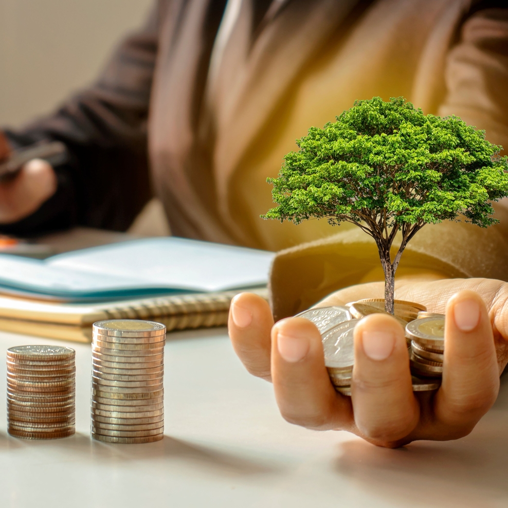 Symbolische Fotomontage: Hand mit Geld, aus dem Geld wächst ein Baum.